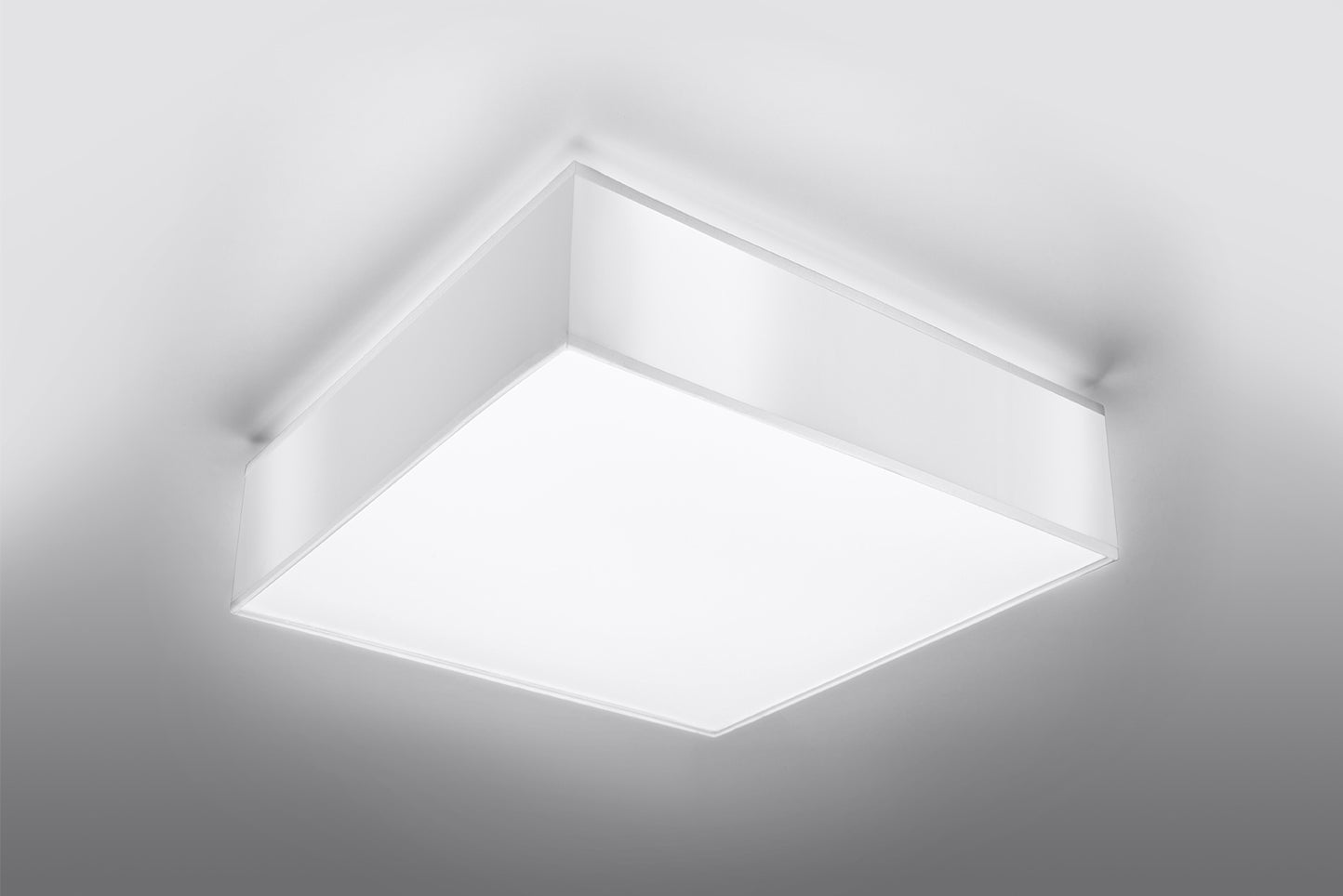 Horus Ceiling Light