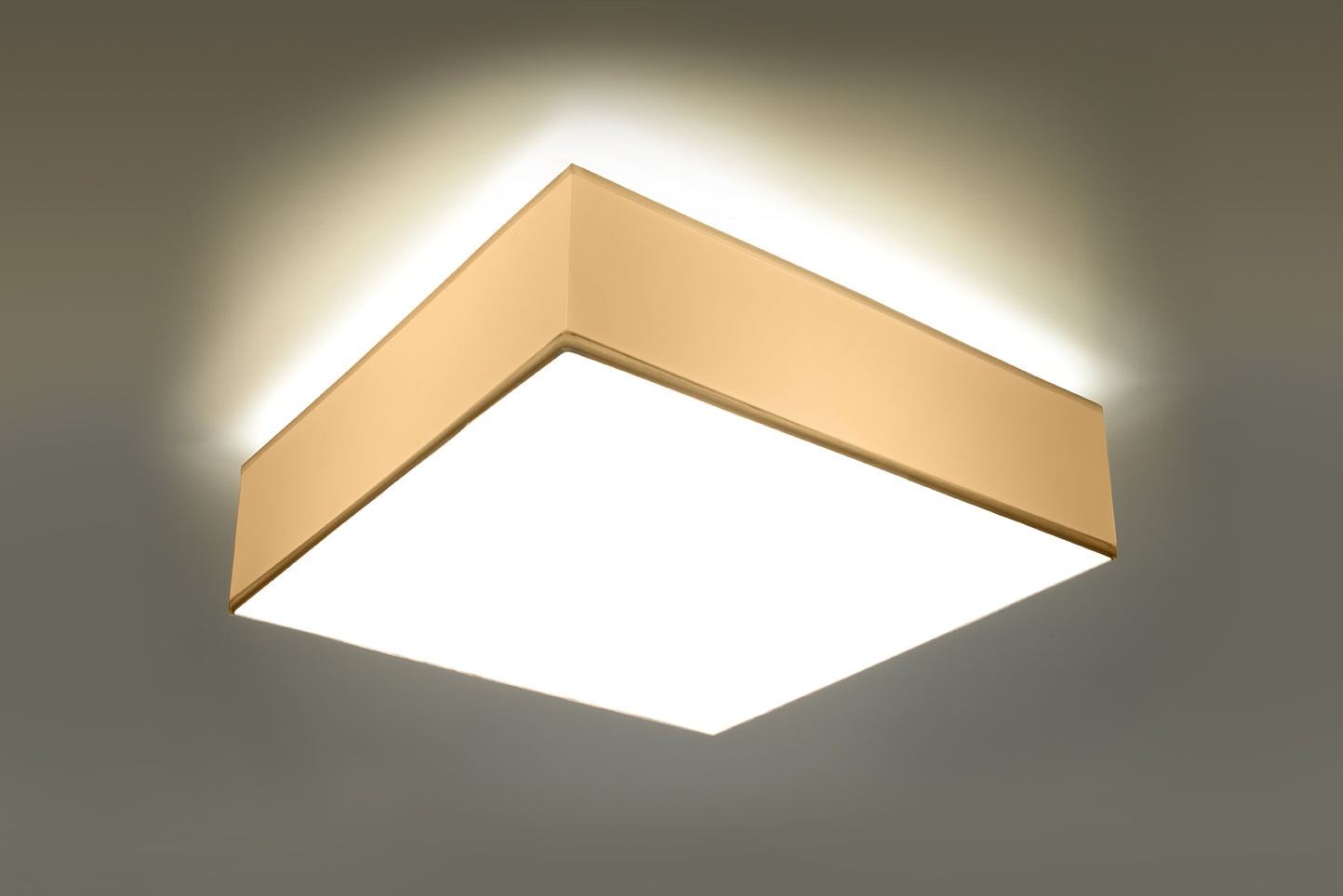 Horus Ceiling Light