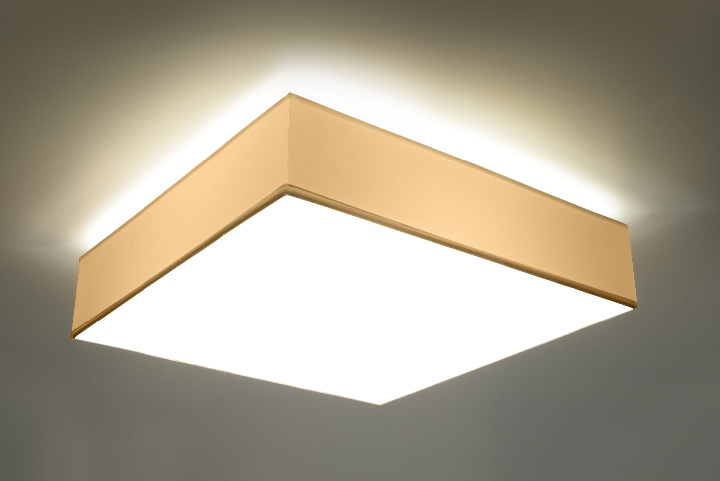 Horus Ceiling Light