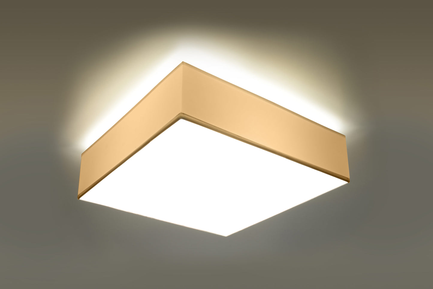 Horus Ceiling Light